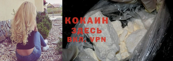 сатива Тольятти